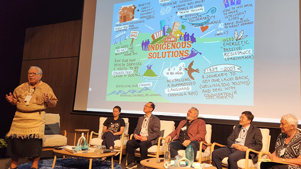 ICUH2025 Ingigenous solutions